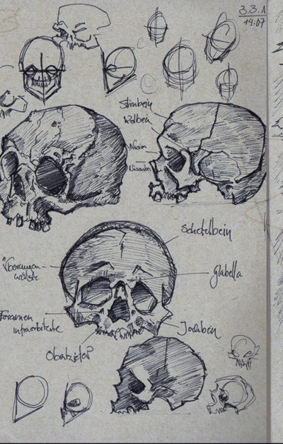 Anatomiestudien von Raphael Sindermann - Auszug aus dem Skizzenbuch